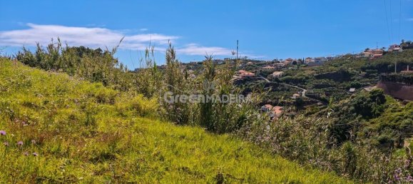 Grundstück in Ponta do Sol, Portugal, Nr. 301131 19