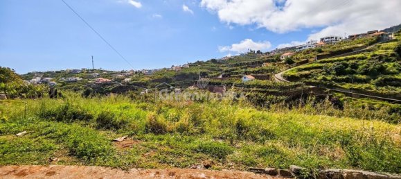 Grundstück in Ponta do Sol, Portugal, Nr. 301131 20