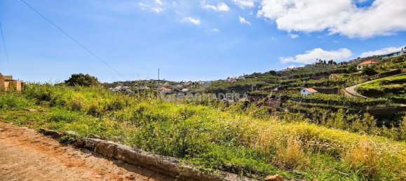Grundstück in Ponta do Sol, Portugal, Nr. 301131 21