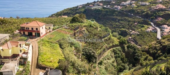 Grundstück in Ponta do Sol, Portugal, Nr. 301131 6