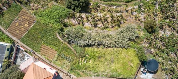 Grundstück in Ponta do Sol, Portugal, Nr. 301131 13