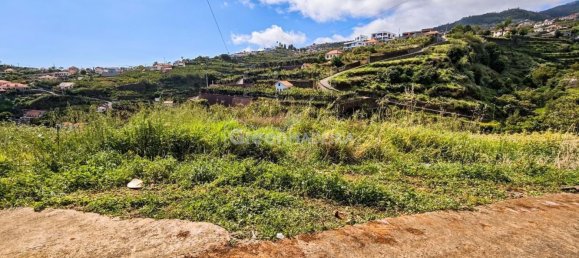 Grundstück in Ponta do Sol, Portugal, Nr. 301131 5