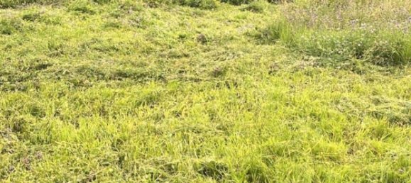 Grundstück in Neuwied, Germany, Nr. 354744 5