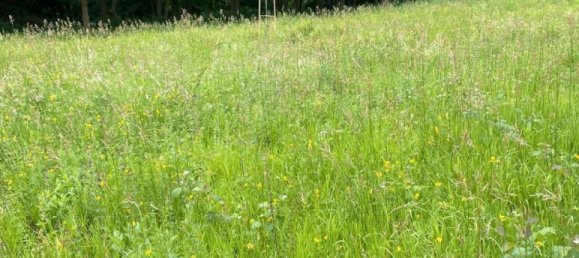 Grundstück in Neuwied, Germany, Nr. 354744 4