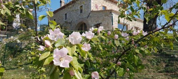 10 rooms House in Amelia, Italy No. 122726 44