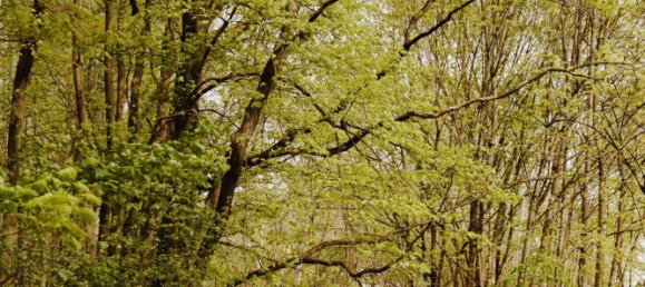 Villa T4 em Marienfelde, Germany N.º 334358 27