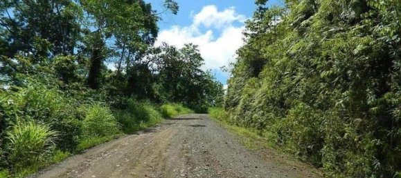 Terreno em Carara, Costa Rica N.º 1524 2