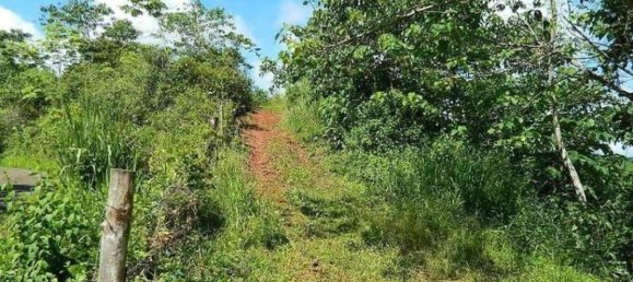 Terreno em Carara, Costa Rica N.º 1524 5