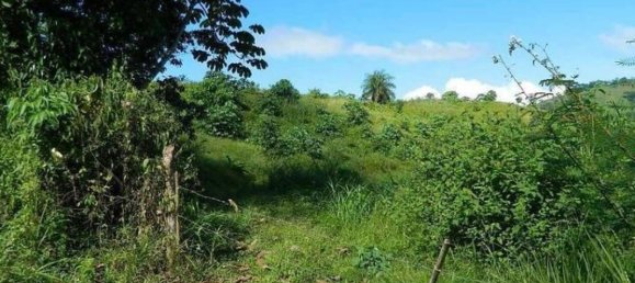 Terreno em Carara, Costa Rica N.º 1524 3