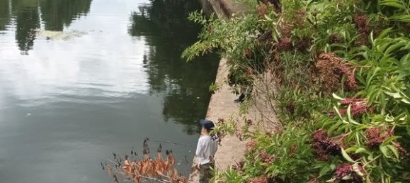 Квартира с 1 спальней в Ле-Ман, Франция № 291449 10