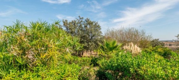 4 bedrooms House in Alandroal, Portugal No. 121657 29