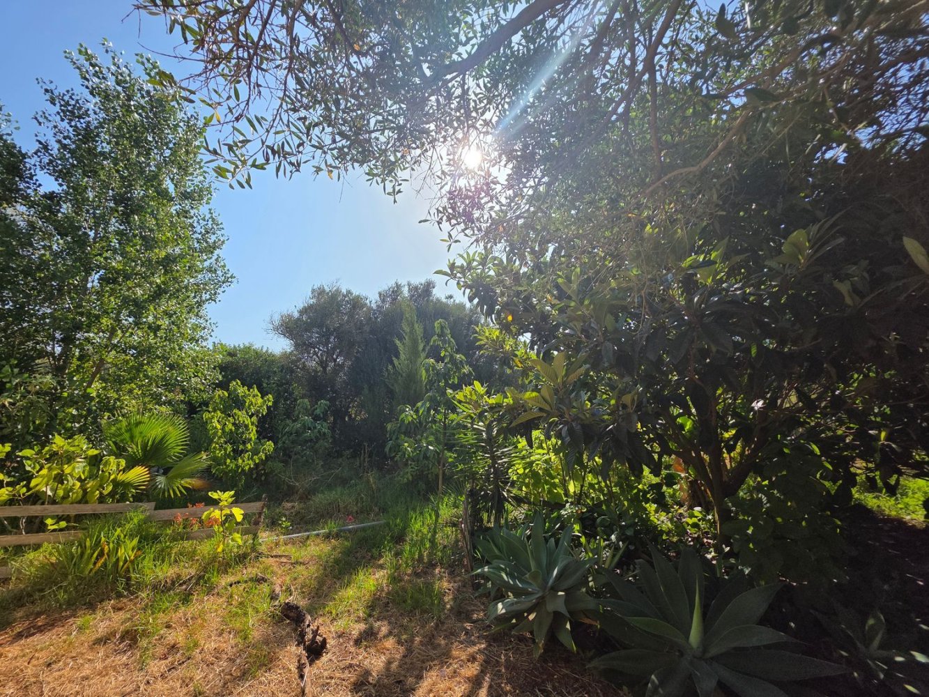  Land in Lagos, Portugal No. 263491