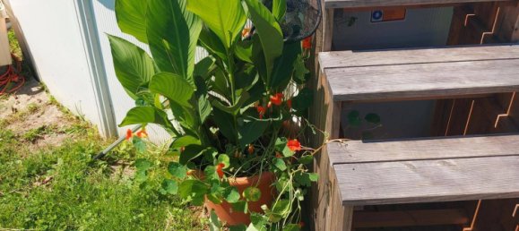 Moradia em banda de 5 divisões em Grodig, Austria N.º 146636 15