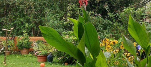 Moradia em banda de 5 divisões em Grodig, Austria N.º 146636 6