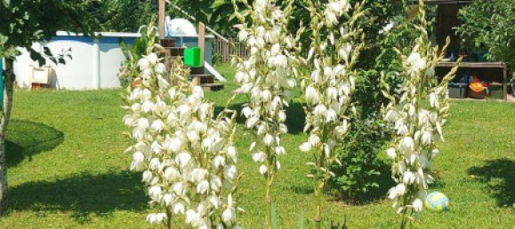 Moradia em banda de 5 divisões em Grodig, Austria N.º 146636 18