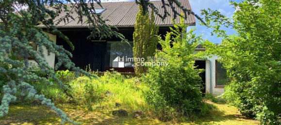 4 rooms House in Purbach am Neusiedler See, Austria No. 175573 2