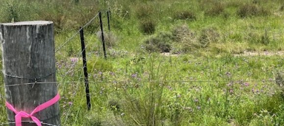 136000m² Land in Cunningham, Australia No. 858 5