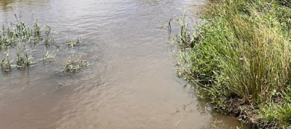 136000m² Land in Cunningham, Australia No. 858 6