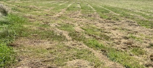 136000m² Land in Cunningham, Australia No. 858 2