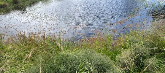 136000m² Land in Cunningham, Australia No. 858 7