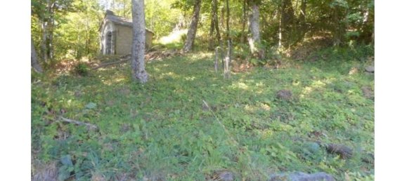 5 rooms House in Albareto, Italy No. 253153 7