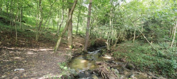 27669m² Land in Linz, Austria No. 251067 4