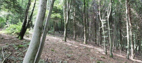 27669m² Land in Linz, Austria No. 251067 7