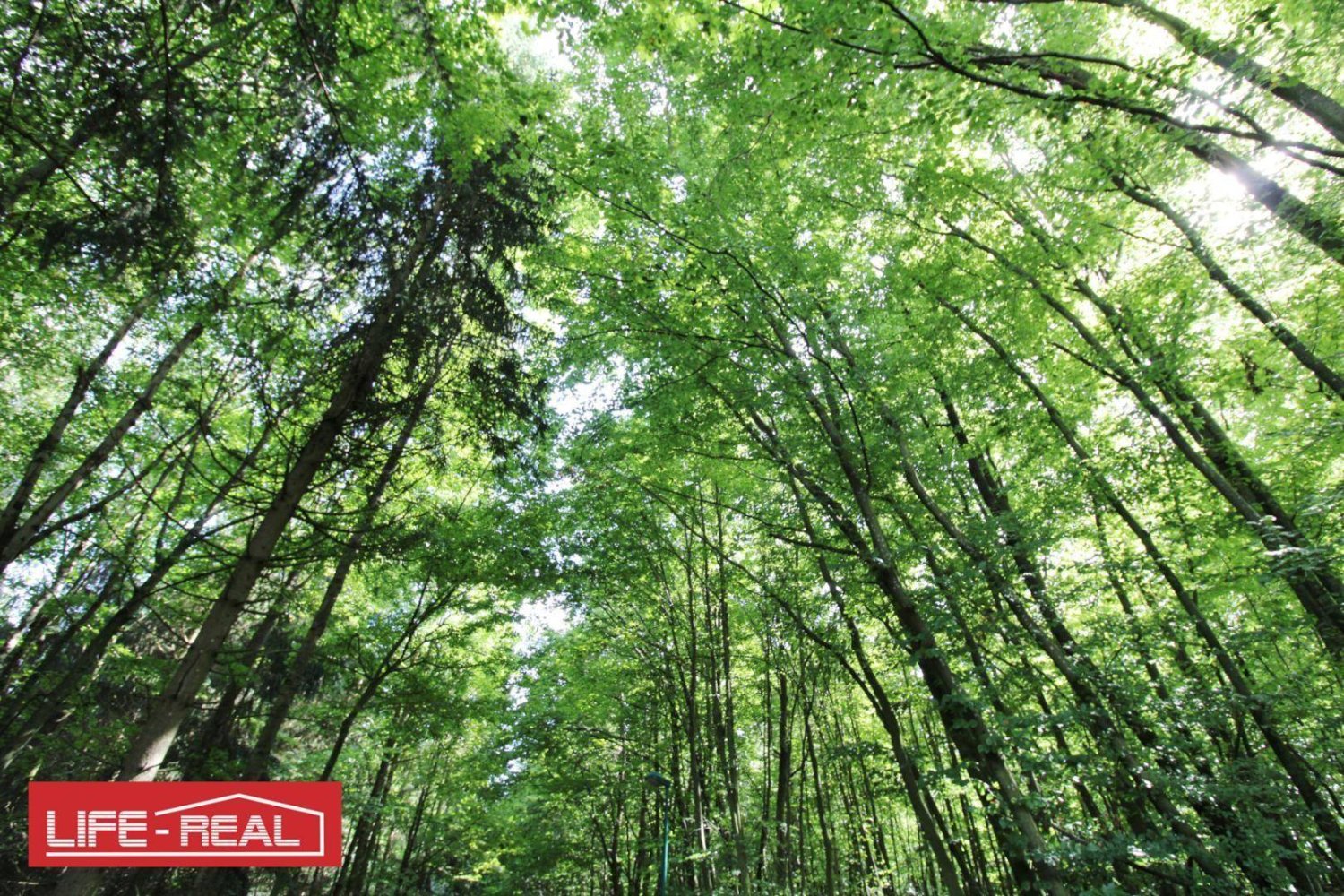 Terreno en Linz, Austria 27669 m² No. 251067