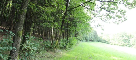 27669m² Land in Linz, Austria No. 251067 8