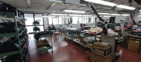 258m² Warehouse in Scandicci, Italy No. 369796 3