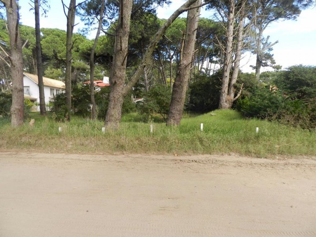  Land in Mar del Plata, Argentina No. 117507