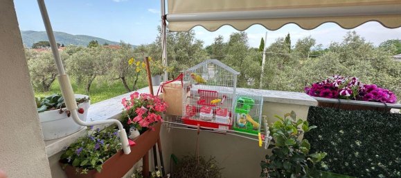 5-Zimmer Wohnung in Fosdinovo, Italy, Nr. 169261 17