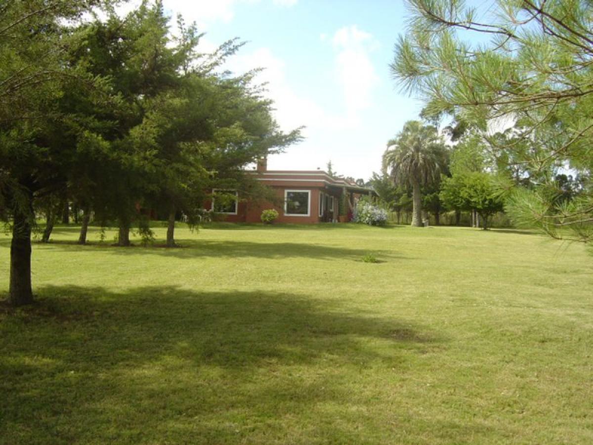 Ферма в Мальдонадо, Уругвай № 15661