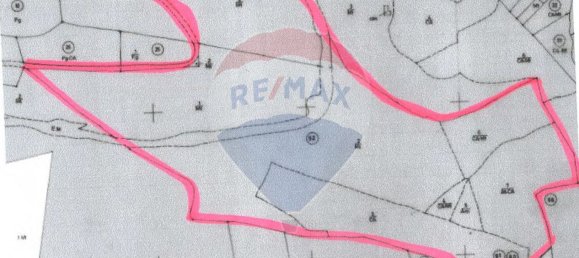 Земельный участок 114120м² в Ольян, Португалия № 41798 3