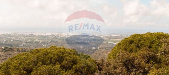 Земельный участок 114120м² в Ольян, Португалия № 41798 11