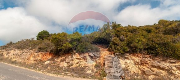 Земельный участок 114120м² в Ольян, Португалия № 41798 8