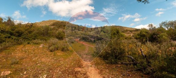 Земельный участок 114120м² в Ольян, Португалия № 41798 21