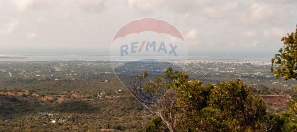 Земельный участок 114120м² в Ольян, Португалия № 41798 9