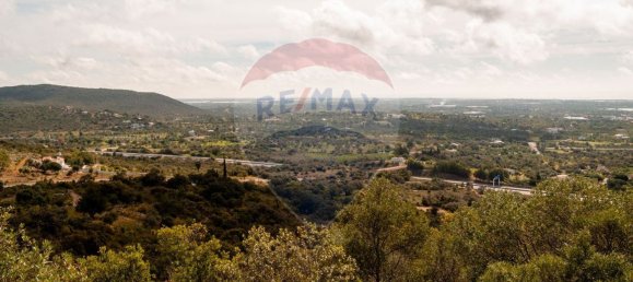 Земельный участок 114120м² в Ольян, Португалия № 41798 17