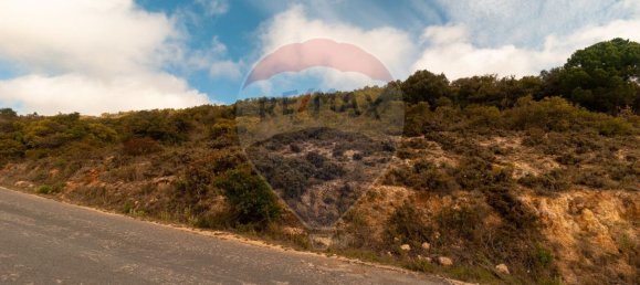 Земельный участок 114120м² в Ольян, Португалия № 41798 4