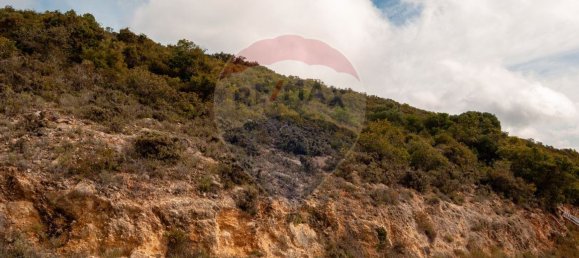 Земельный участок 114120м² в Ольян, Португалия № 41798 12