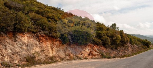 Земельный участок 114120м² в Ольян, Португалия № 41798 13