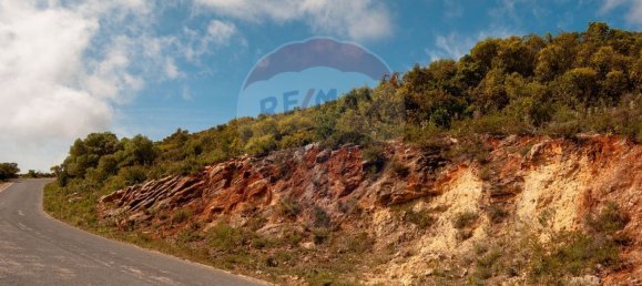 Земельный участок 114120м² в Ольян, Португалия № 41798 14