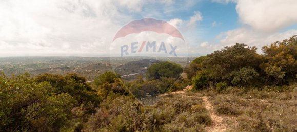 Земельный участок 114120м² в Ольян, Португалия № 41798 6