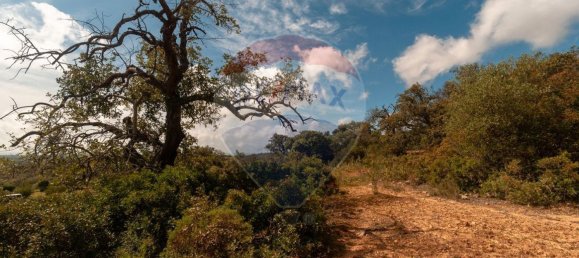 Земельный участок 114120м² в Ольян, Португалия № 41798 27