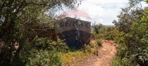 Земельный участок 114120м² в Ольян, Португалия № 41798 23