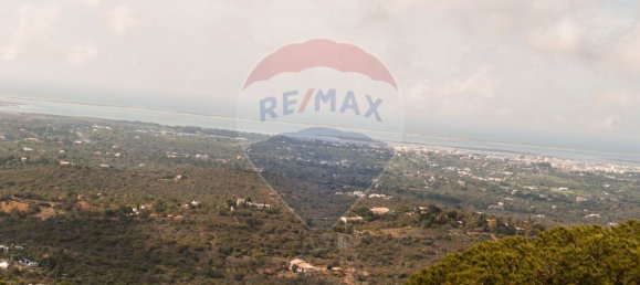 Земельный участок 114120м² в Ольян, Португалия № 41798 10