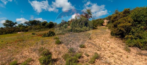 Земельный участок 114120м² в Ольян, Португалия № 41798 28