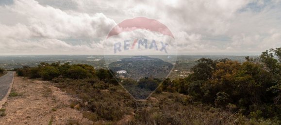 Земельный участок 114120м² в Ольян, Португалия № 41798 2