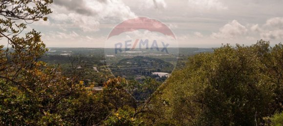 Земельный участок 114120м² в Ольян, Португалия № 41798 15